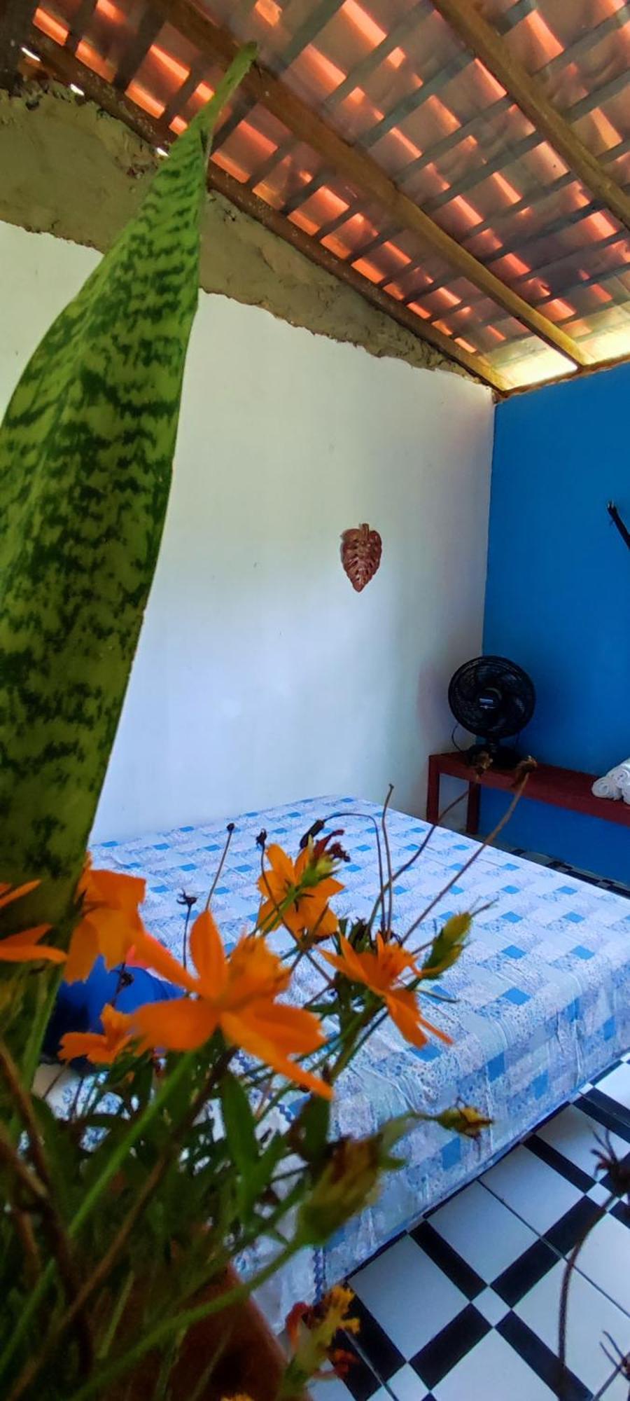 Eco Hostel Lunar Soure Exteriér fotografie